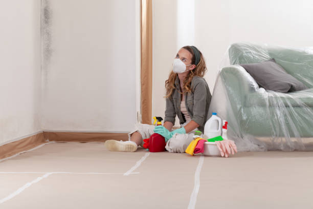 Reliable Mold Testing contractor in Jenison, MI by WQB Mold Removal